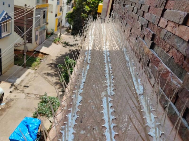 Bird Spikes in Mysore