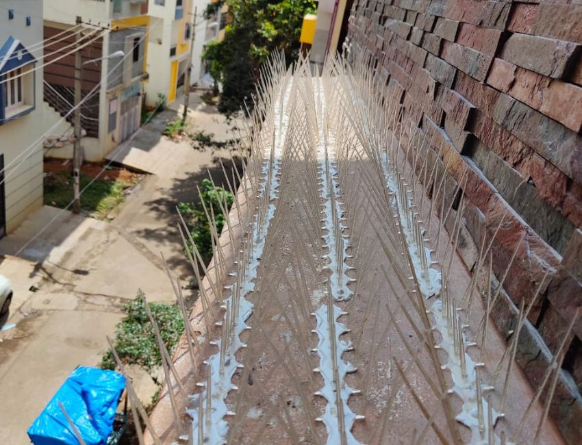 Bird Spikes in Mysore